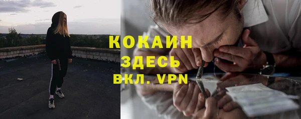 дурь Мегион