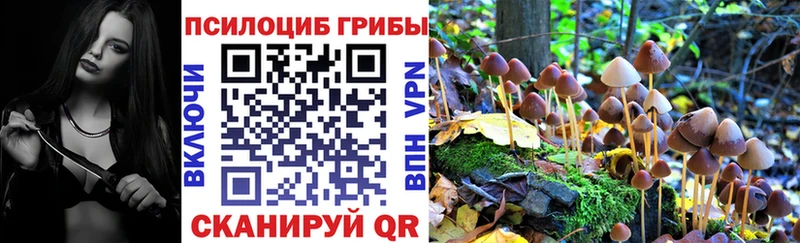 Псилоцибиновые грибы мухоморы  Екатеринбург 
