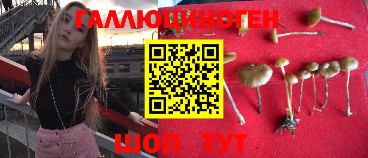 Екатеринбург  Псилоцибиновые грибы прущие грибы  Вход с VPN  Псилоцибиновые грибы мухоморы 