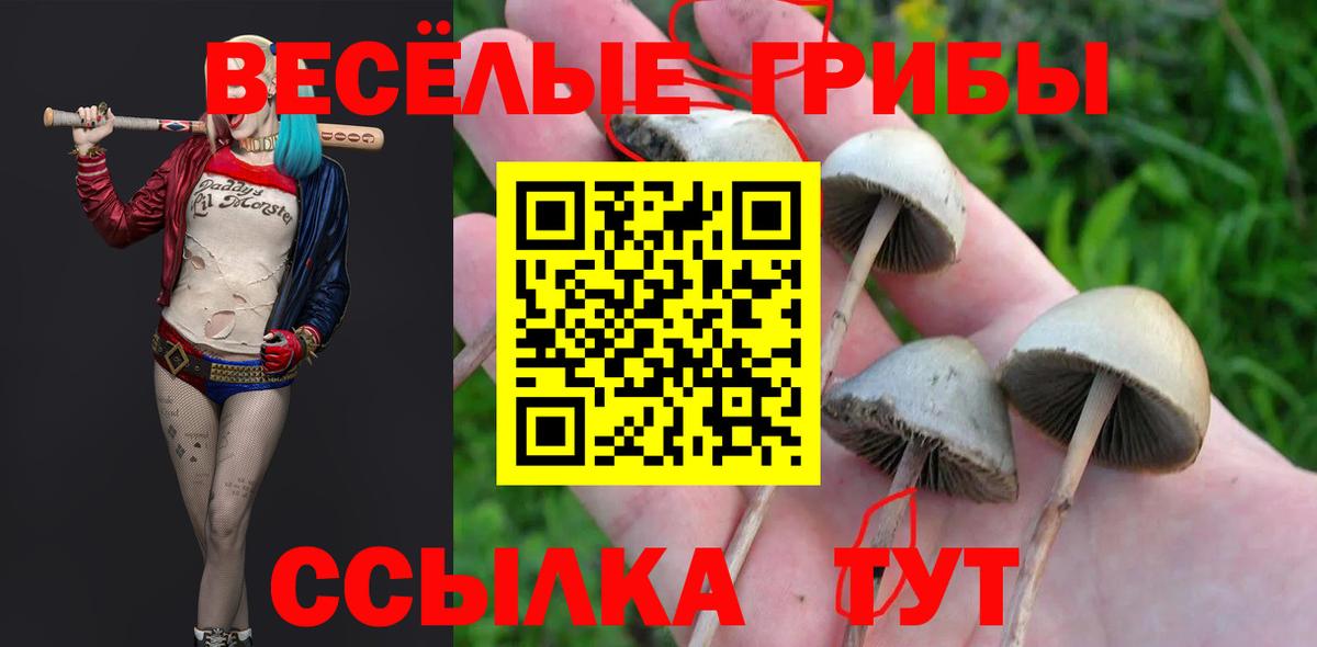 Псилоцибиновые грибы Psilocybe  Екатеринбург 