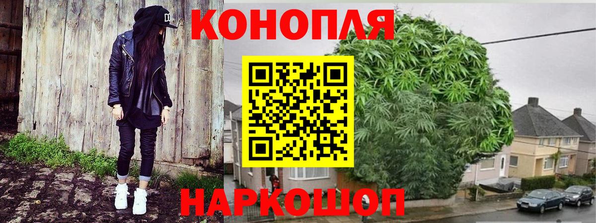 Каннабис планчик  Конопля ГИДРОПОН  Конопля THC 21%  Екатеринбург 